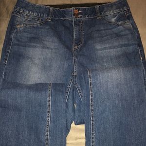 Lane Bryant Jeans